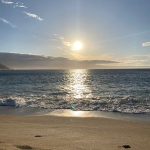 Meet your Posher, Lilliana